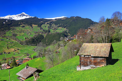 Scenic view of green landscape against sky