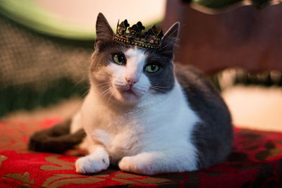 Close-up of cat wearing crown while sitting at home