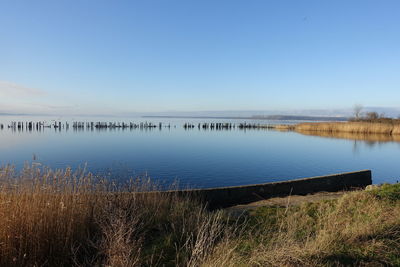 Scenic view of lake against clear blue sky