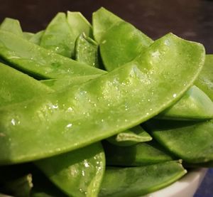 Close-up of green leaves