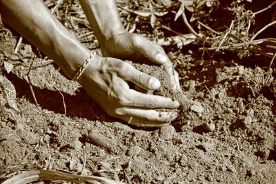 Close-up of hand on ground