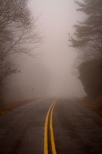 Empty road by trees against sky