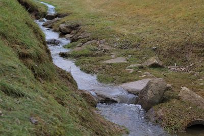 Stream flowing through landscape