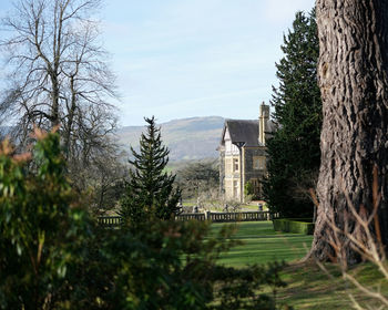 Trees on field against sky
