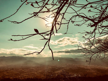 Silhouette bare tree on landscape against sky