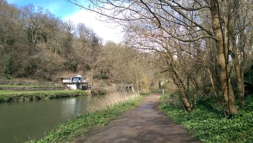 Footpath along bare trees