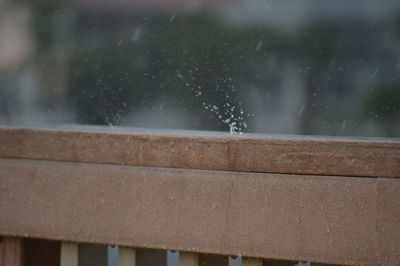Close-up of raindrops during rainy season