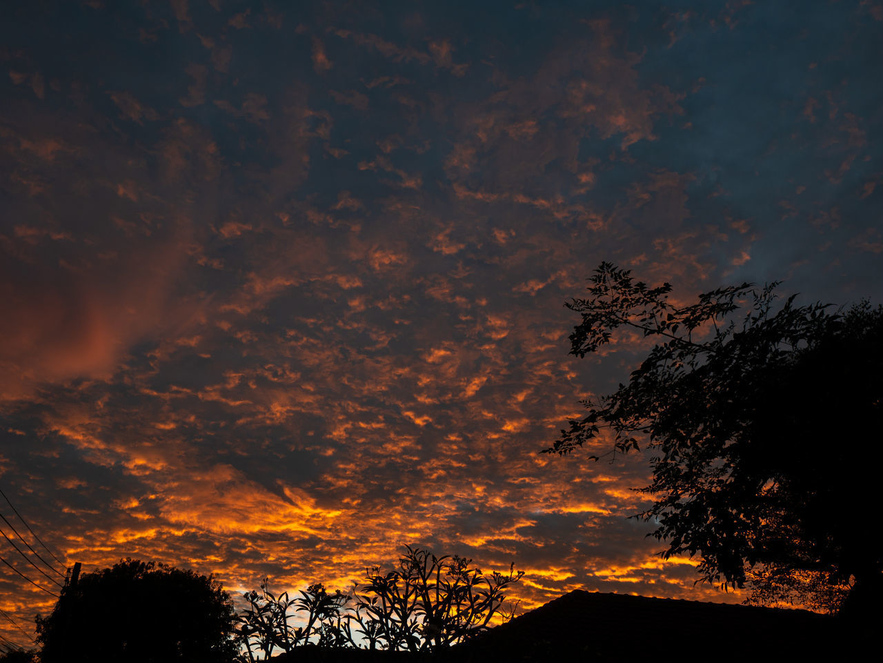 LOW ANGLE VIEW OF SILHOUETTE TREES AGAINST ROMANTIC SKY