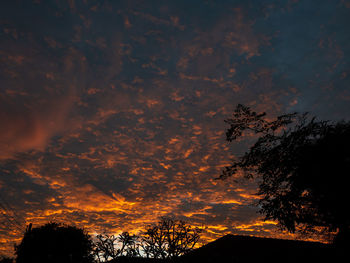 Low angle view of silhouette trees against sky during sunset