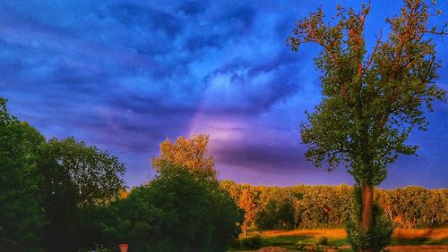 Scenic view of trees against sky during autumn