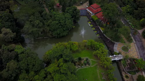 High angle view of lake amidst trees