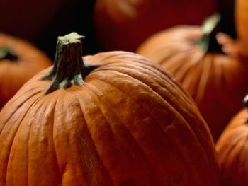 Close-up of pumpkin