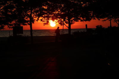 Silhouette trees on beach against sky during sunset