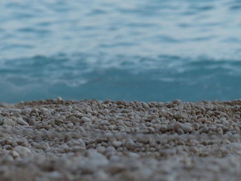 Close-up of pebbles against sea