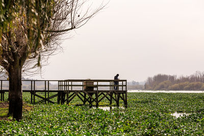 Scenic view of field against clear sky