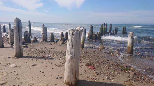 Wooden posts on beach against sky