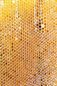 Full frame shot of bubbles