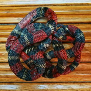 High angle view of wicker basket on table