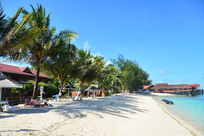Palm trees on beach against clear blue sky