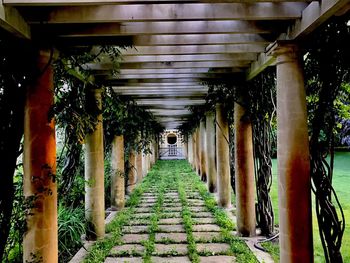 Narrow walkway along columns