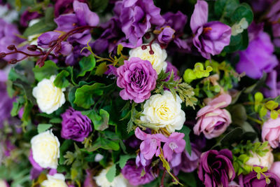 High angle view of pink roses