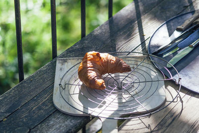 High angle view of a bird on wooden table