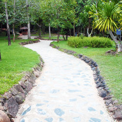 Footpath in park