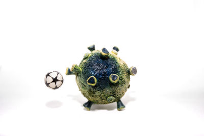 Close-up of a frog over white background