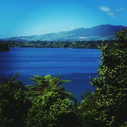 Scenic view of lake against clear blue sky