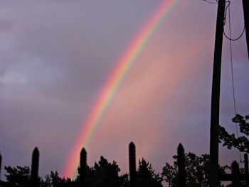 Low angle view of rainbow over trees against sky