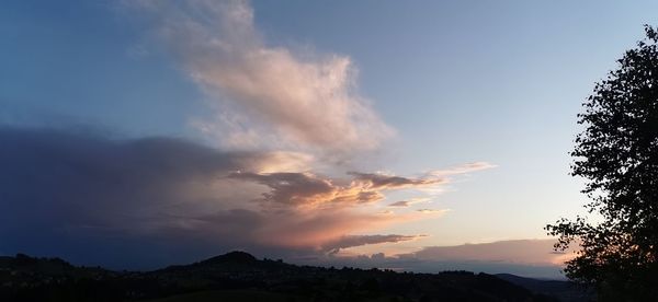 Low angle view of silhouette trees against sky during sunset