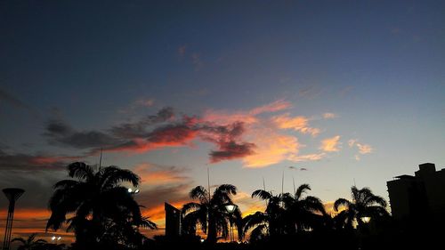 Silhouette of trees at sunset