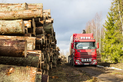 Truck loading logs in forest