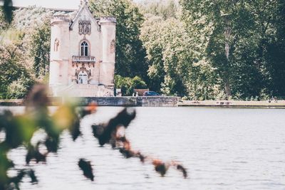Trees by building in city