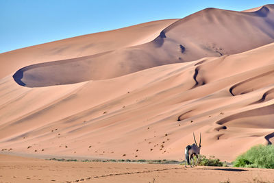 View of desert against the sky