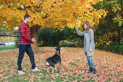 Couple playing with dog at park during autumn
