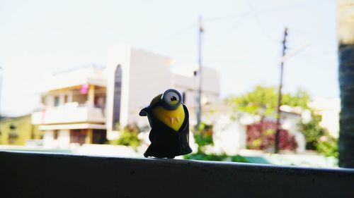 Close-up of bird perching on city against sky