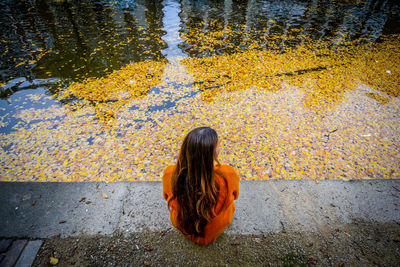 Rear view of woman sitting by pond during autumn