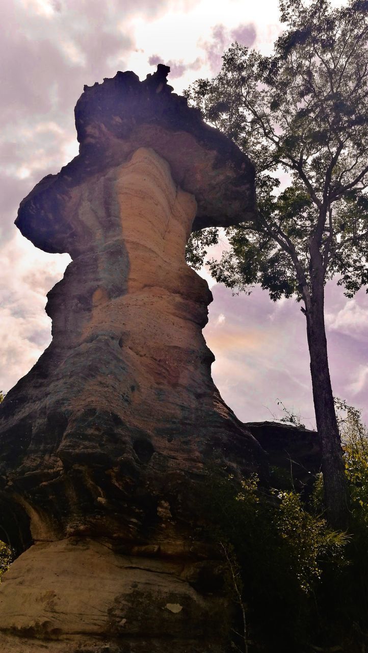 LOW ANGLE VIEW OF ROCK FORMATION AND TREES AGAINST SKY
