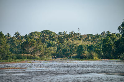 Scenic view of landscape against clear sky