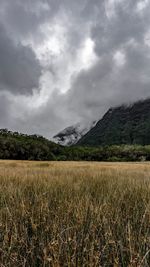 Scenic view of field against sky