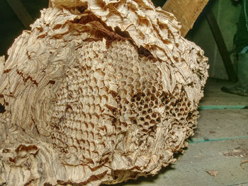 Close-up of ice cream cone