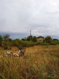 Scenic view of field against sky