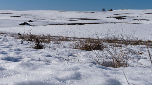 Scenic view of snow covered field against sky