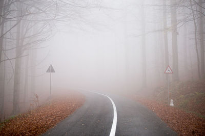 Road amidst trees against sky during foggy weather