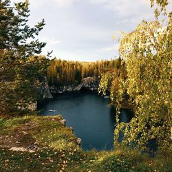Scenic view of lake in forest against sky