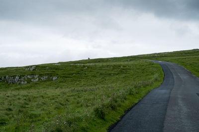 Road passing through field