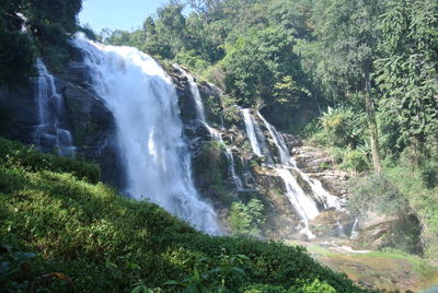 Scenic view of waterfall in forest