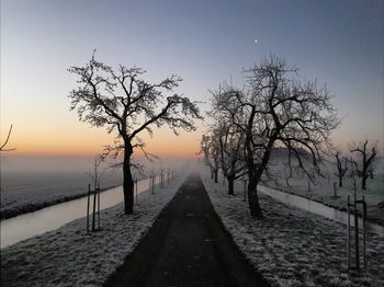 Bare trees by road against sky during sunset