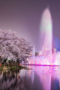 Illuminated trees by river against sky at night